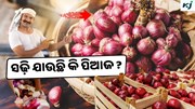 Onion Storage Tips: ପିଆଜ ଷ୍ଟୋରେଜରେ ନଷ୍ଟ ହେଉଛି କି ?